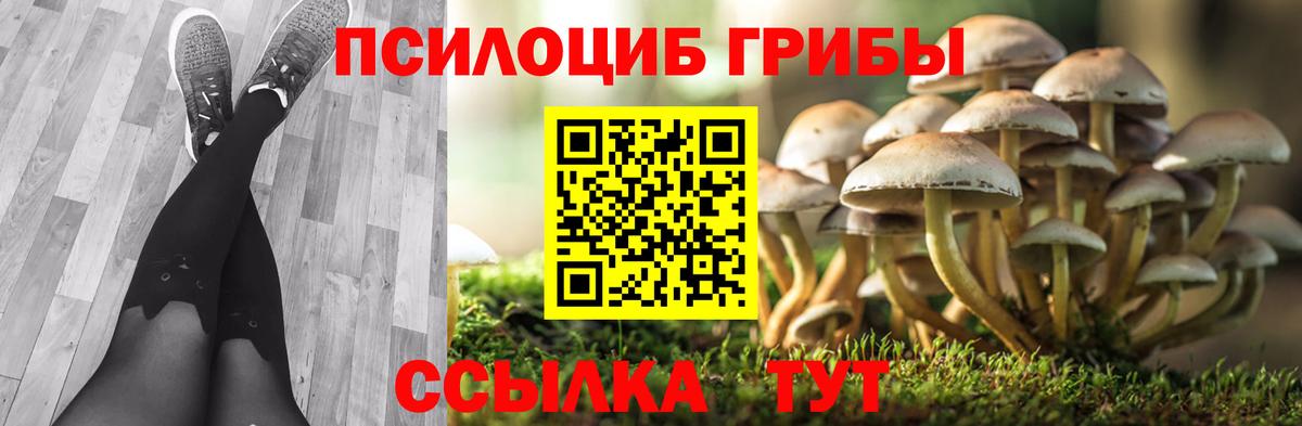 Псилоцибиновые грибы Magic Shrooms Качканар